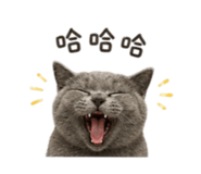 840906006