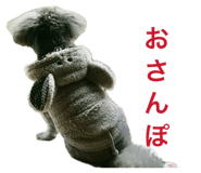840906308
