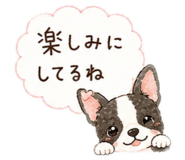 840906428