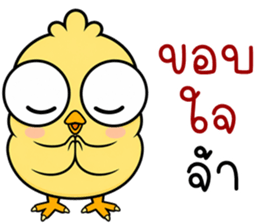 ลายที่ 23