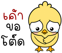 ลายที่ 24