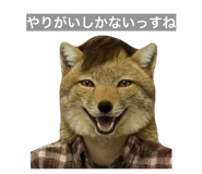 840906945