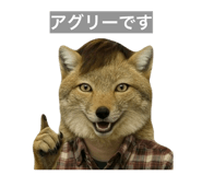 840906951