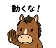 840907006