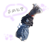 840908038