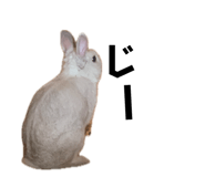 840908086