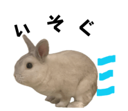 840908092