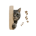 840908426