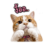 840908727