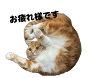 840908901