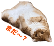 840908910
