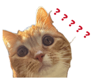 840908911