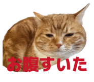 840908928