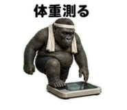 840909029