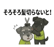840909206