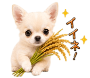 840909214