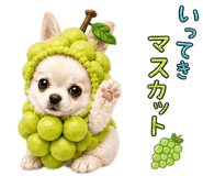 840909223