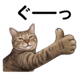 840909336