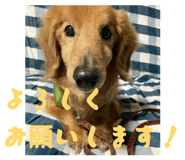 840911104