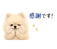 840911217
