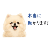 840911222