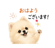 840911223