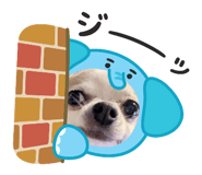 840911325