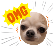 840911327