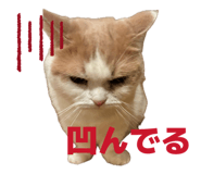 840911572
