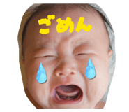 840911629
