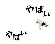 840911771