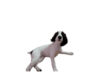 840911776
