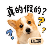 840912255