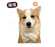 840912262