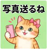 840913553