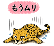 840913714
