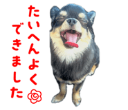 840915258