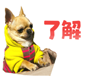 840915259