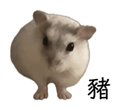 840915978