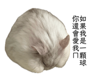 840915985