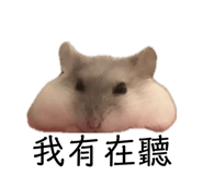 840915988