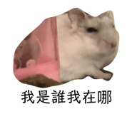 840915992