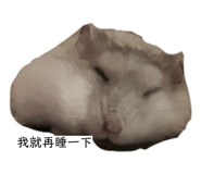 840915998