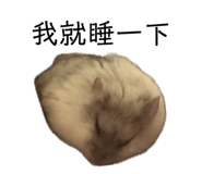 840916000