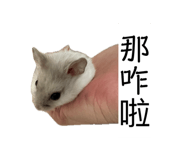 840916002
