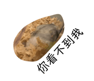 840916007
