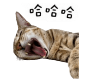 840916402