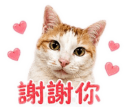 840916789
