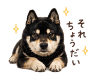 840918498