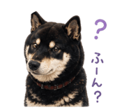 840918501